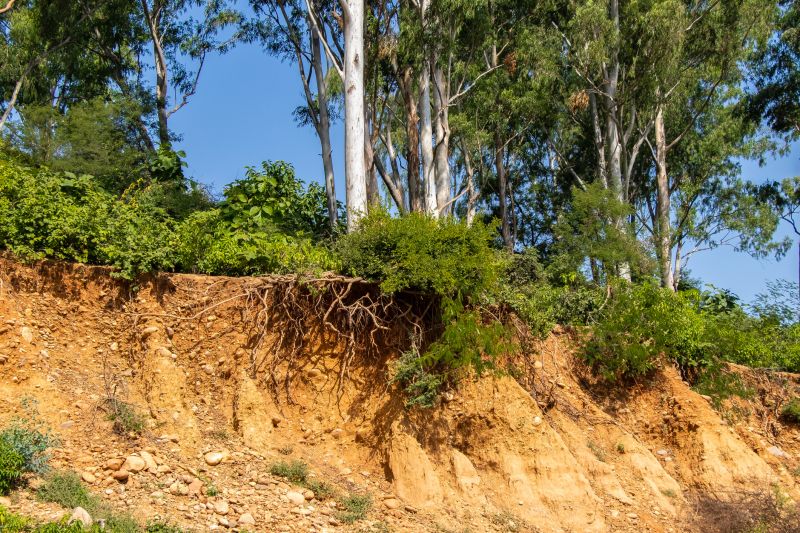 Landscape Erosion Control