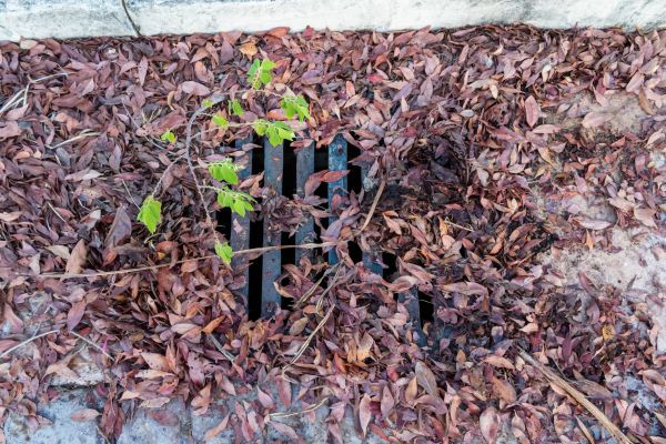 Cost of Yard Drain Unclogging in Fort Collins