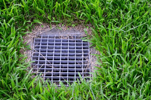 Cost of Yard Water Drainage in Fort Collins