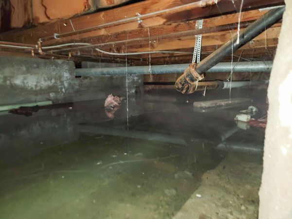 Cost of Crawlspace Drainage in Fort Collins